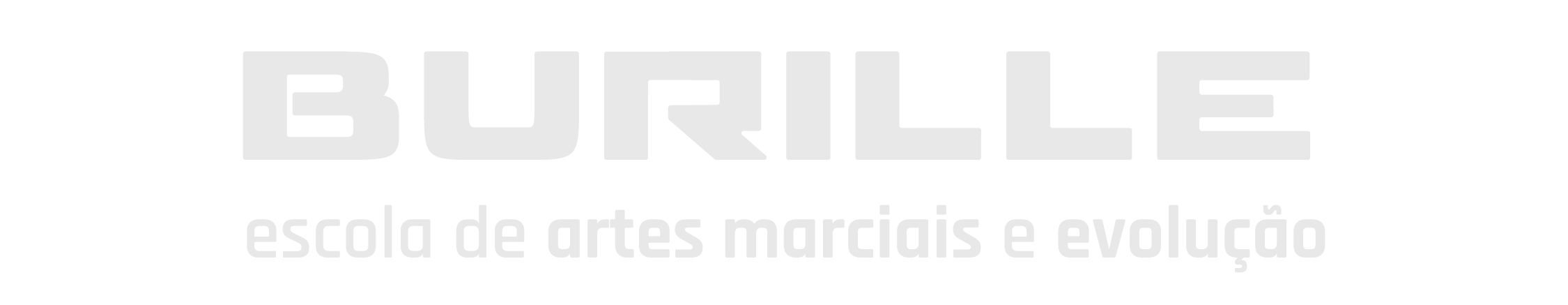 Burille - Escola de Artes Marciais e Evolução